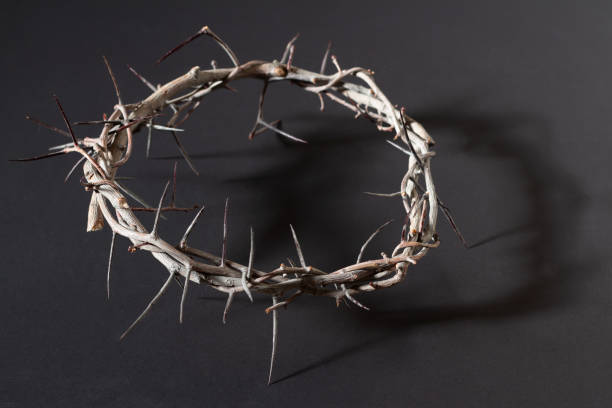 istock Sunlit crown of thorns on black 1302543858