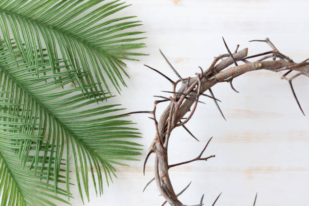Crown of thorns and palm leaves Crown of thorns and palm leaves on white wood background shot from above easter sunday photos stock pictures, royalty-free photos & images