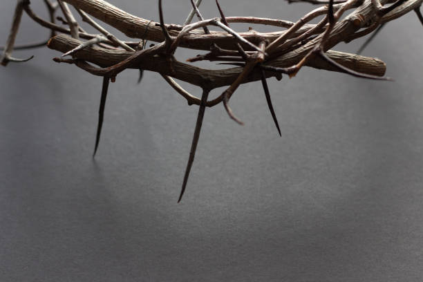 istock Close up crown of thorns on black 1302543890
