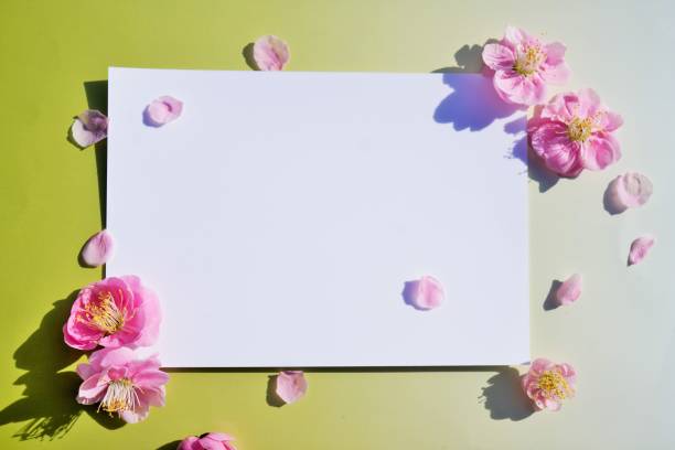 istock Rectangle blank paper mockup decorated with red plum flowers on a yellow-green gradient background 1302545785