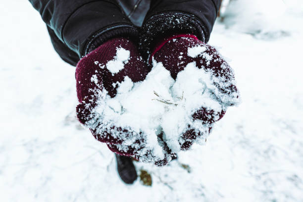 istock Closeup of hands holding snow. selective focus. 1302546405
