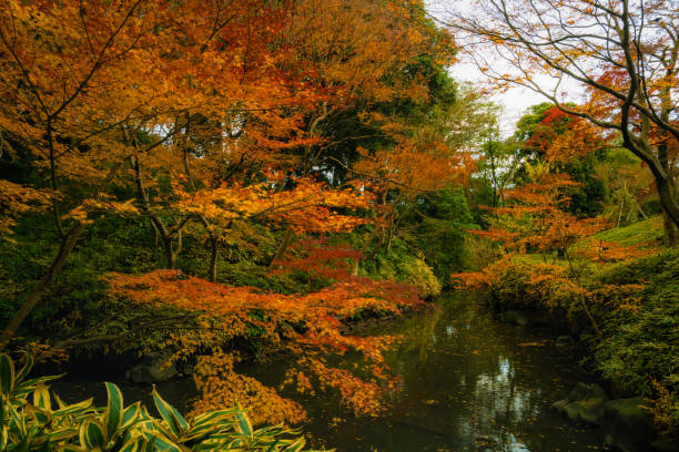 Rikugien park in autumn