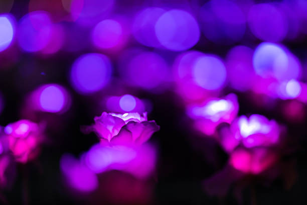 Colorful illumination at Christmas time