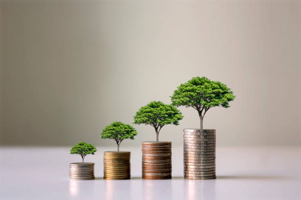 istock Showing financial developments and business growth with a growing tree on a coin. 1302559253