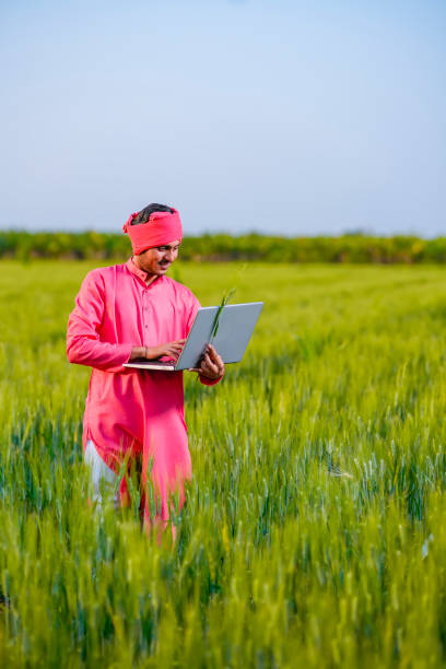 istock Young indian farmer using laptop at green wheat field 1302562146