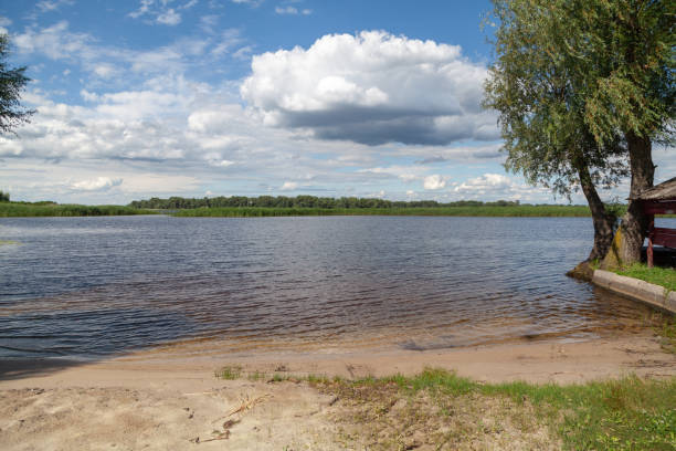 istock Beautiful river bank with sandy beach on summer day 1302562945
