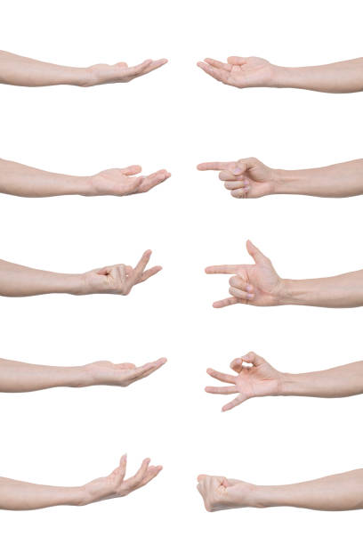istock Collection of man hands gestures Isolated on white background with clipping path. 1302563893