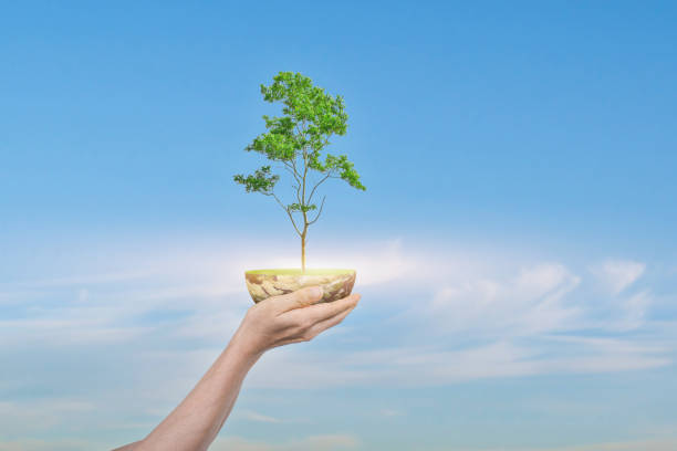 istock Saving Earth concept. Human hand holding Globe with a tree over blue sky background 1302563928