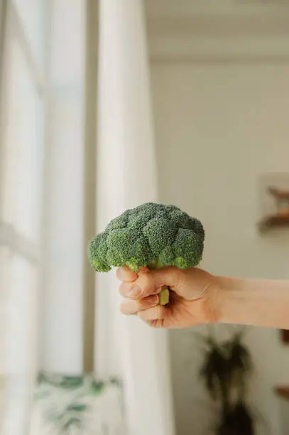 Photo of fresh large broccoli cabbage in hand of human on residential white kitchen. healthy wellness eating habits, vertical, selective focus