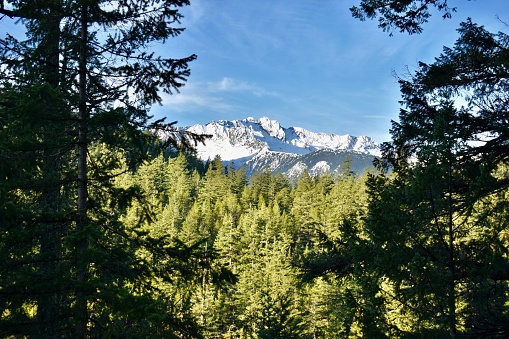 During a bright and sunny day in Burnaby British Columbia, a winter day hike brings views of snowy mountains through the bright green shaded forest.