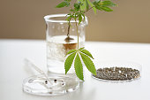 medizinisches-labor-mit-verwurzelten-cannabispflanzenschnitten-und-cbd-samen.jpg?b=1&s=170x170&k=20&c=h7s8DpX8AJFnQsROzejd3FbmF18rmff2trLLKxVp6Xk=