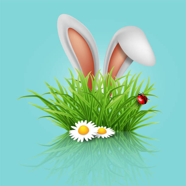istock Happy Easter greeting card. Rabbit ears peeping out of grass with daisies.  High detailed realistic illustration. 1302580033