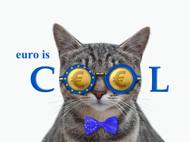 istock Cat gray in euro cool glasses 1302588197