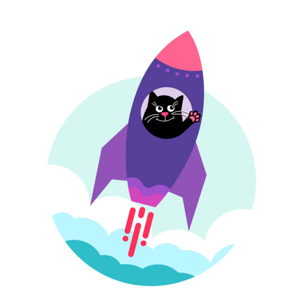 Space cat. happy cute cat takes off on a space rocket up. Space cat. happy cute cat takes off on a space rocket up. Flat design style. Cute cartoon character. Vector illustration Isolated on white background. cat muzzle meowing cartoon stock illustrations