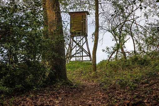 A hunting stand in a forest near Heiligenhaus, North Rhine-Westphalia, Germany