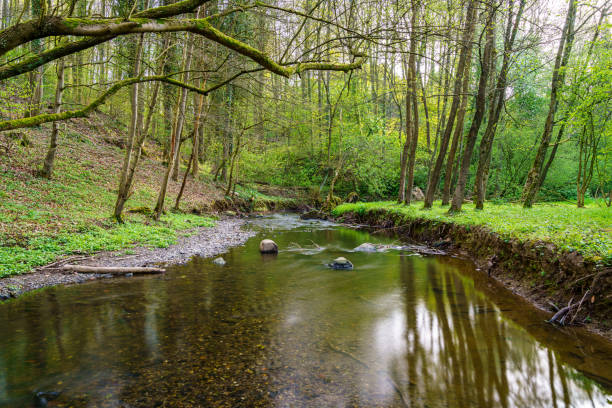 istock The Rinderbach, a river near Heiligenhaus, Germany 1302589300