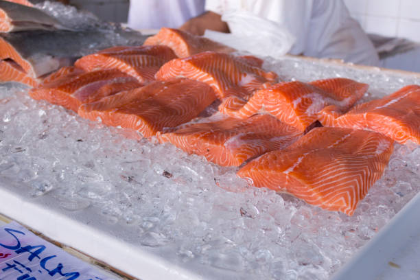 istock Fresh salmon fillet preserved on ice. 1302590961