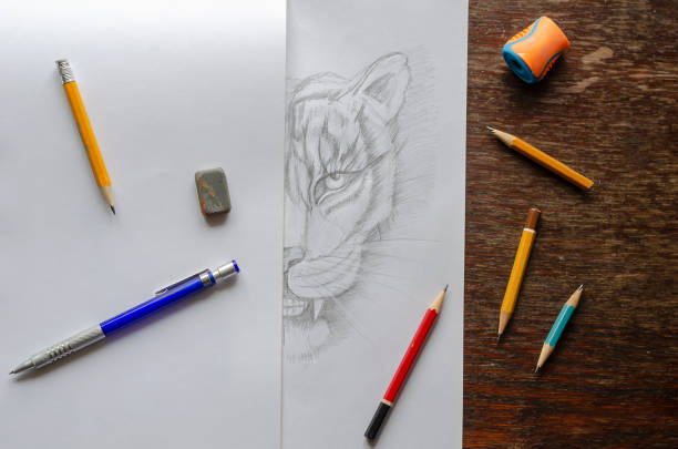 istock Monochrome Drawing of a tiger 1302591914