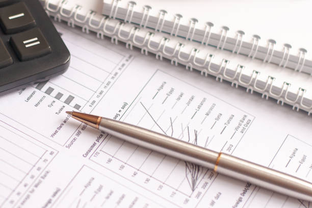 istock Paper, financial report, pen, notepad, flash drive on a white background 1302592870
