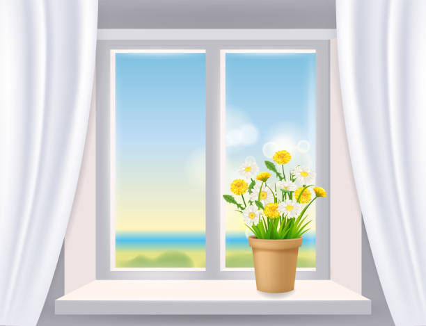 ilustraciones, imágenes clip art, dibujos animados e iconos de stock de vista de la ventana en el interior, vista sobre el paisaje, primavera, maceta de flores con margarita de flores y dientes de león en el alféizar de la ventana, cortinas. plantilla de ilustración vectorial realista - chamomile plant glass nature flower