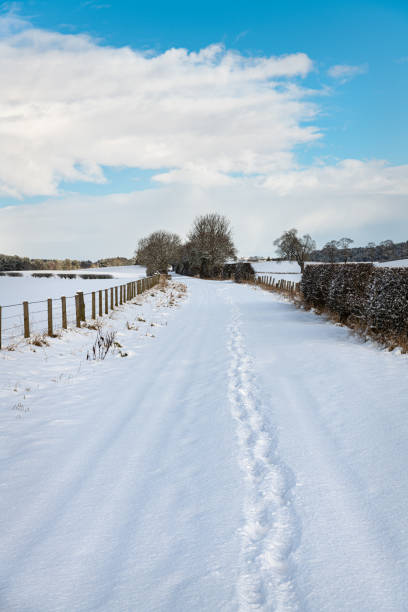 istock Snow Covered footpath (on disused railway) in the Scottish Borders 1302595587