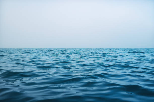 istock Fog over the ocean waves, natural background 1302595606