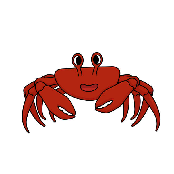 czerwone uśmiechy kraba, pazury od siebie, ma pozytywne nastawienie. kreskówka zarys vector doodle izolowane zwierzę na białym tle. - underwater mine stock illustrations