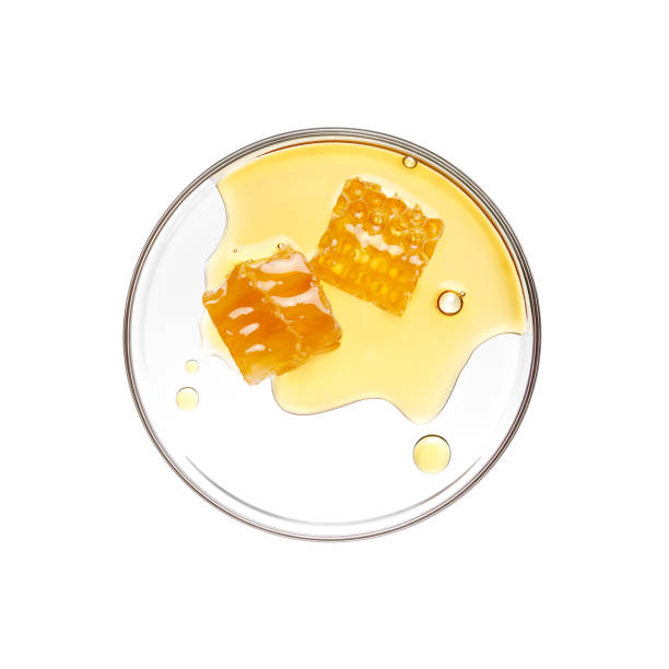 istock Honeycomb with honey on petri dish over white background 1302595739