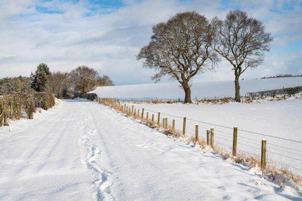 istock Snow Covered footpath (on disused railway) in the Scottish Borders 1302595779