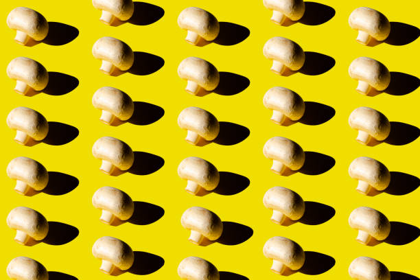 istock Mushroom champignons pattern. Fresh raw whole champignons on yellow background top view 1302596601