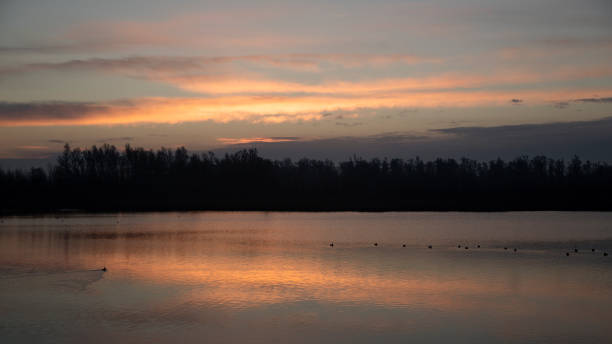 istock Early morning in Dutch Biesbosch National Park 1302596994