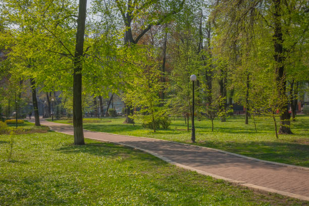 istock Bright and sunny spring day in city park 1302600553