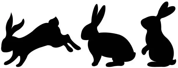 Vector illustration of Black Rabbit With White Background