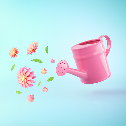 Pink water can with colorful summer flowers and green leaves against pastel blue background. Advertisement idea. Minimal nature concept. 3d render