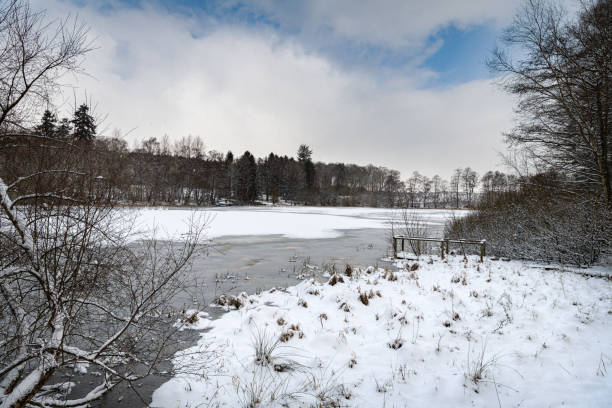 istock Frozen pond in the Scottish Borders, UK 1302604543