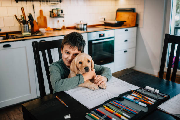 istock Little boy doing his homework at home 1302604652