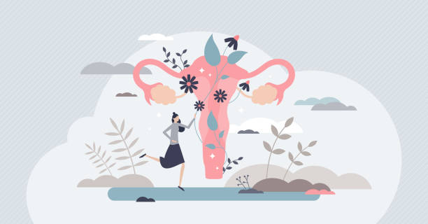 Fertility as medical reproduction healthcare and checkup tiny person concept Fertility as medical reproduction healthcare and checkup tiny person concept. Woman gynecology organ health and wellness examination vector illustration. Decorative and abstract uterus visualization. uterus stock illustrations