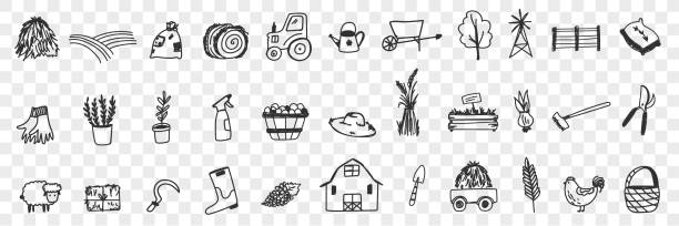 Farming tools and equipment doodle set Farming tools and equipment doodle set. Collection of hand drawn tractor hay farm animals house basket harvesting sheep plants watering can shovel boots for farming isolated on transparent background farmer drawings stock illustrations