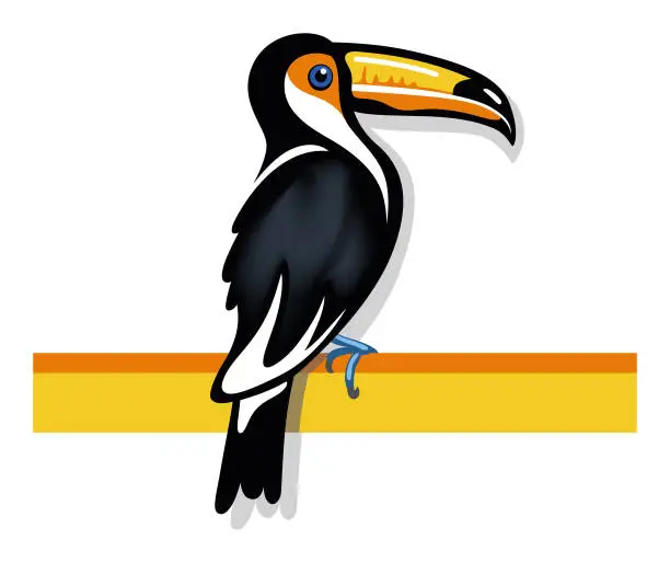 Vector illustration of Toco toucan sitting illustration