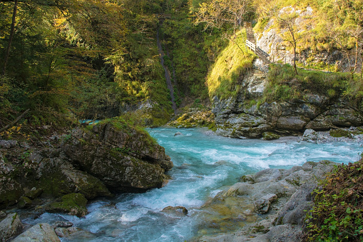 The confluence of the rivers Tolminka and Zadlascica in Tolmin Gorge in the Triglav National Park, north western Slovenia