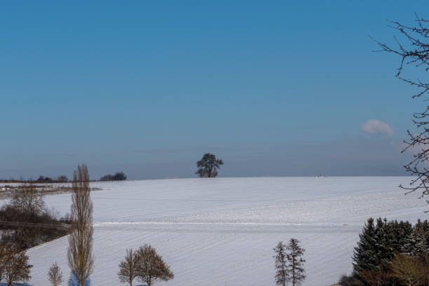istock winter landscape with snow 1302617397