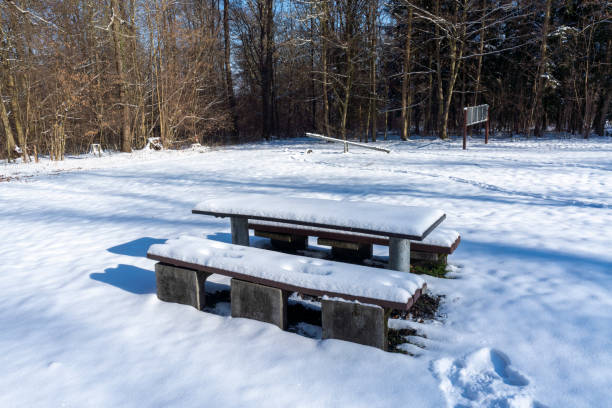 istock rest area in the snow 1302619154
