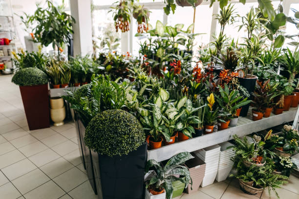 istock Group of flowers 1302619361