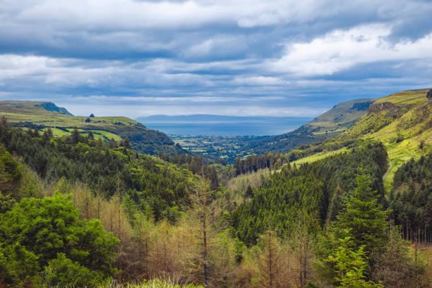 Glenariff known as Queens of the Glens and the biggest of the nine Glens of Antrim, County Antrim, Northern Ireland, UK view on Glenariff known as Queens of the Glens and the biggest of the nine Glens of Antrim, County Antrim, Northern Ireland, UK glenariff photos stock pictures, royalty-free photos & images