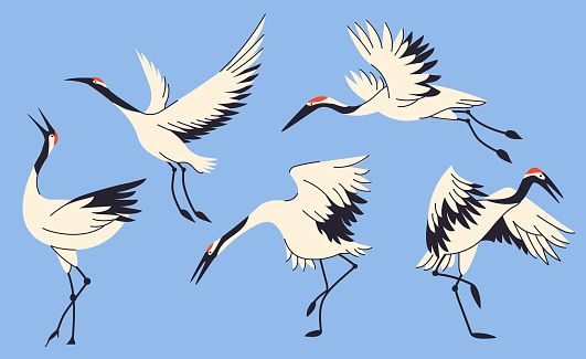 Stork, egret, heron design element set. Asian creature, Japane wildlife in cartoon style.