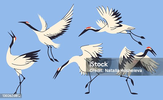 1,384 Bird Crane Cartoon Illustrations & Clip Art - iStock