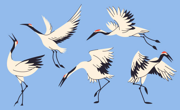 Crane birds collection isolated vector illustration. Stork, egret, heron design element set. Asian creature, Japane wildlife in cartoon style. crane bird stock illustrations