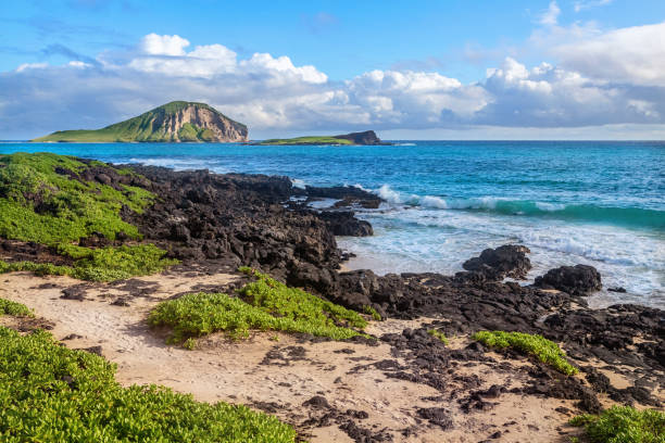 istock waves breaking on rocks close to Macapuu beach, Oahu, Hawaii 1302620813