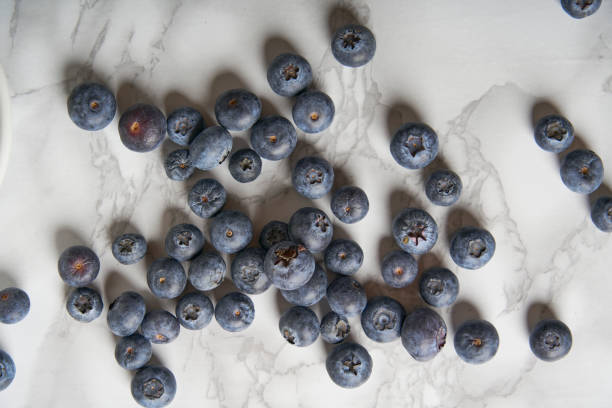 A small white round plate and white square plate holding blueberries sat companionably on the sunlit white wood-grain floor amid scattered blueberries.