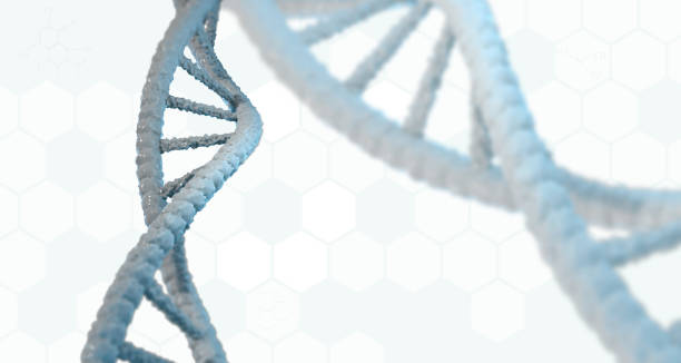 istock Dna 3d illustration. Abstract 3d polygon wireframe spiral dna molecular helix on blue color Medical science, genetic biotechnology, biology, chemistry 1302623759